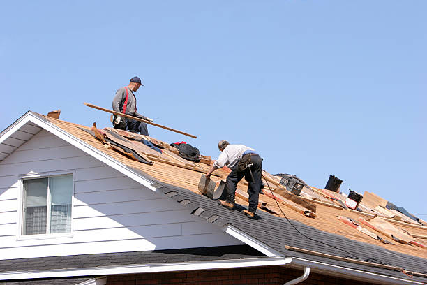 Best Gutter Installation and Repair  in Willmsburg, IA
